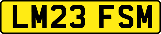 LM23FSM