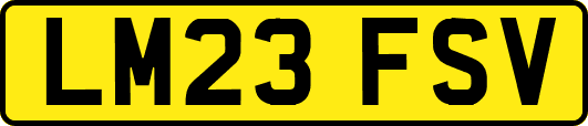 LM23FSV