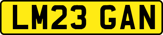 LM23GAN