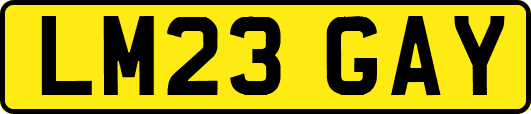 LM23GAY