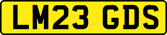 LM23GDS