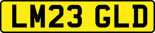 LM23GLD