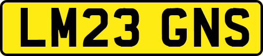 LM23GNS