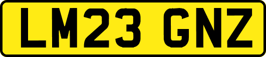 LM23GNZ