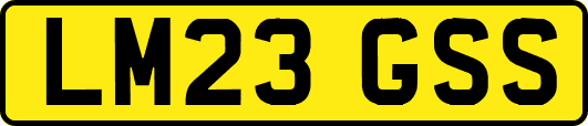 LM23GSS