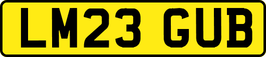 LM23GUB