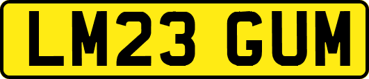 LM23GUM