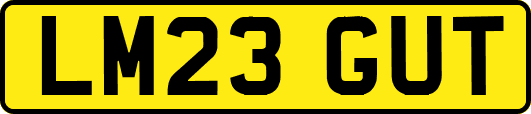 LM23GUT