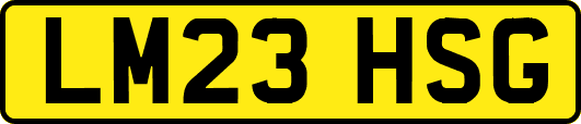 LM23HSG