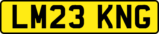 LM23KNG