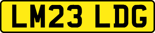 LM23LDG