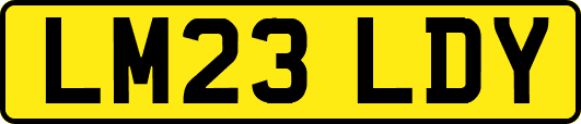 LM23LDY