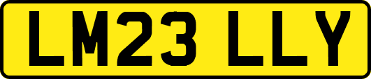 LM23LLY