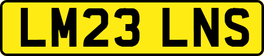 LM23LNS