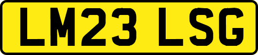 LM23LSG