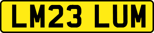 LM23LUM
