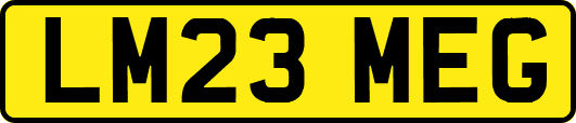 LM23MEG