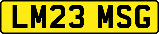 LM23MSG
