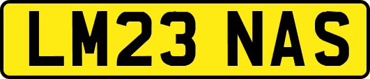LM23NAS