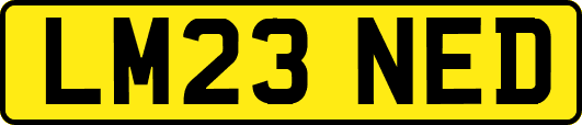 LM23NED