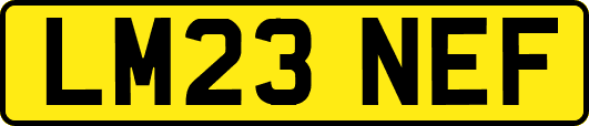 LM23NEF