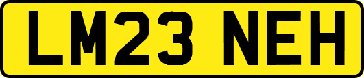 LM23NEH