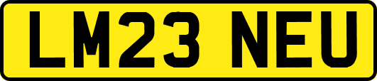 LM23NEU