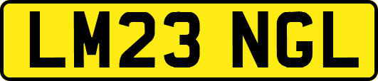LM23NGL