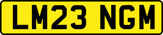 LM23NGM