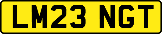 LM23NGT