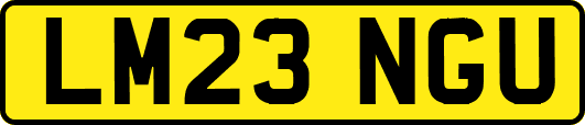 LM23NGU