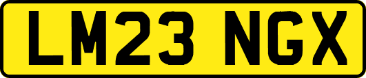 LM23NGX