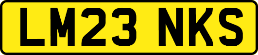 LM23NKS