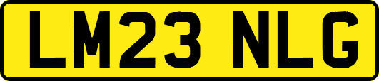 LM23NLG