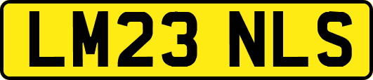 LM23NLS