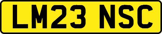 LM23NSC
