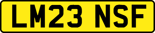 LM23NSF
