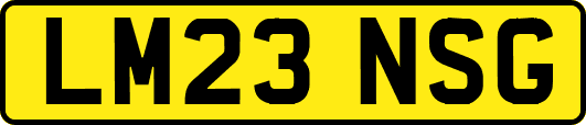 LM23NSG