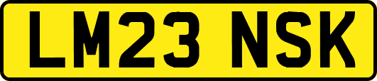 LM23NSK