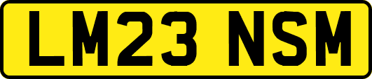 LM23NSM