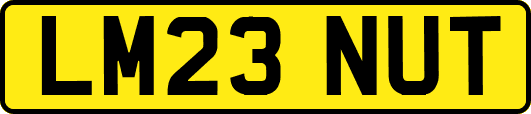 LM23NUT