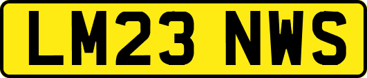 LM23NWS