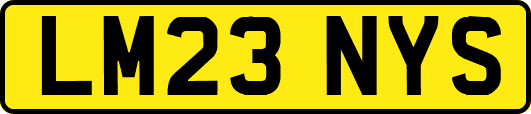LM23NYS