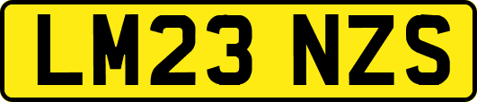 LM23NZS