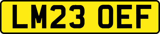 LM23OEF