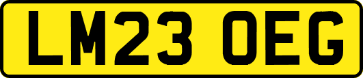 LM23OEG