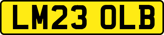 LM23OLB