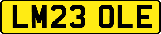 LM23OLE