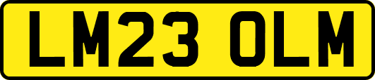 LM23OLM