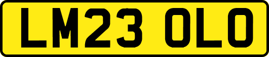 LM23OLO